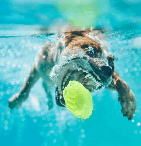 37123996989530421987136975137658183601992874580997828356353120942943285280769