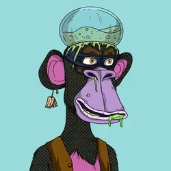 58908853164764665234215629469906415334070316588277770664231263122213090361345