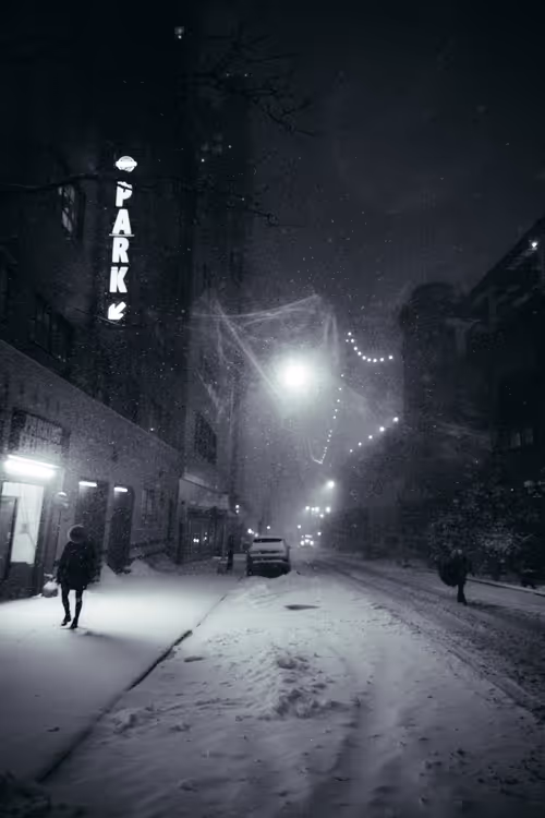 Item #33042120889451854685272695172442478807155240332106701713195592588154887995393 Media