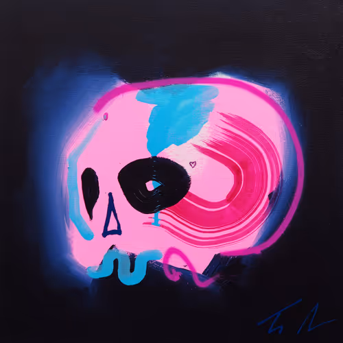 Memento Mori 100 Skulls By Tim Fowler