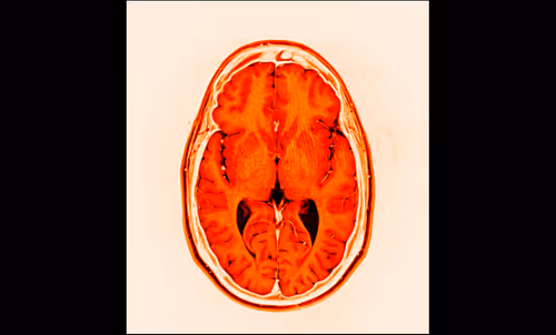 Item #64162533542198579898252916190583583845604629893829087458582976535241854812161 Media