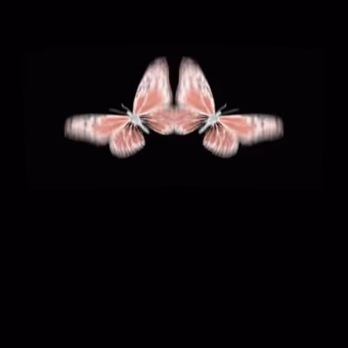 Shim Sham S Video Art