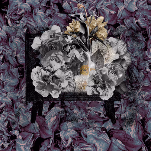 Item #48492224125278853539213911528912924610870321163069310956764398813418109272065 Media