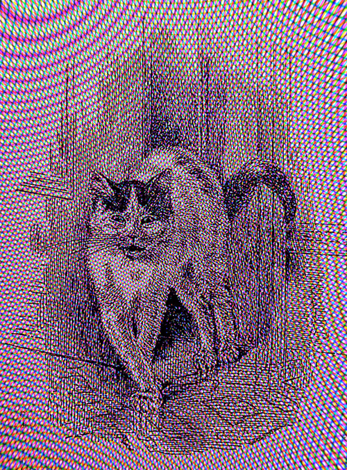 Item #35247308013863639916483757756408588227786114589757564733366544649605701697566 Media