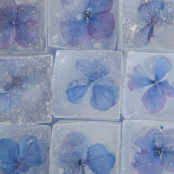 80829721372825377784010953381890255518558028243098186913878117639903246286849