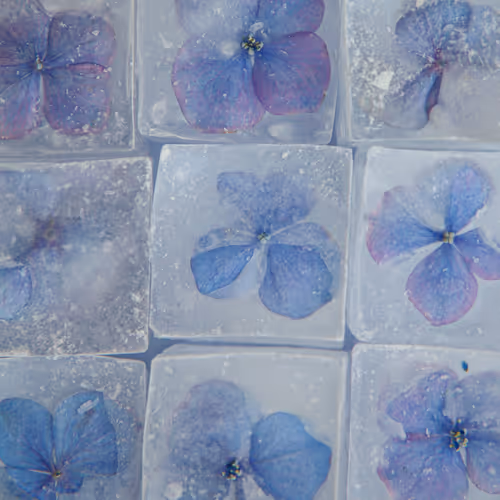 80829721372825377784010953381890255518558028243098186913878117639903246286849