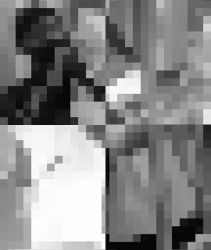 Another White