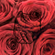 5092005513785645649474047608140004915134929329787670930056967872056083349505