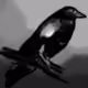 85615207421241973128247077042772291260231568474365850041505831463579069448193
