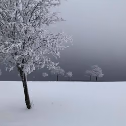 Silence