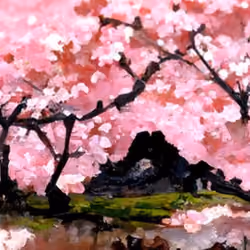 Cherry Blossom #23