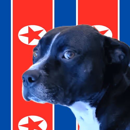 TYSONTHEDOG Collection - old V2