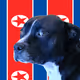 TYSONTHEDOG Collection - old V2