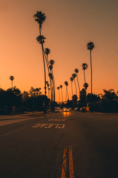 Somewhere Else: 051 - Walking Palms