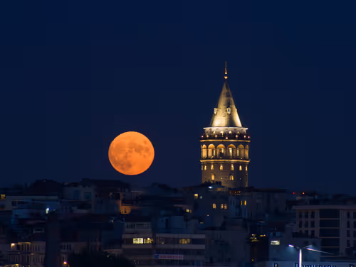 Item #42729861163771567341829383527928804346395504849525264536095462047593952968705 Media