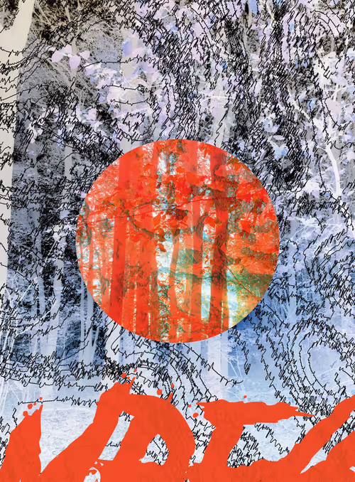 Item #102102916121796597229990151930085578188091991930388543495708461058008895455233 Media