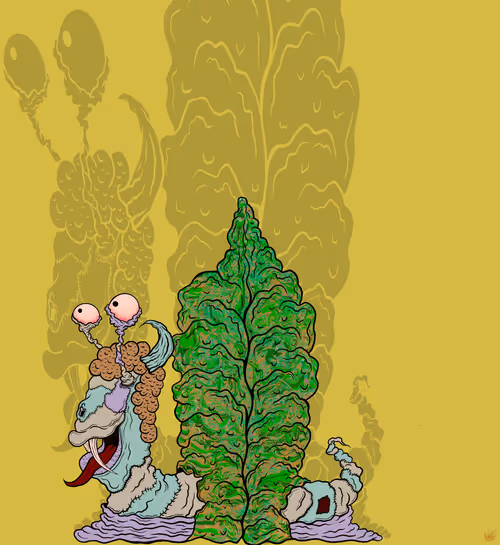 Item #48709560595739296782595910837660609397562067469616424855680270698021920964609 Media