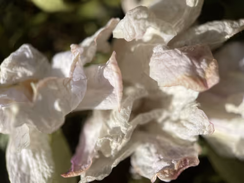 Item #101798116254510798330486236990451841615541533753866395116378150895023646834689 Media