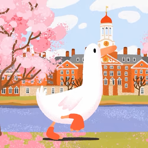 Item #82156306384610747966184862212727550247456131418142315154672423535832037588993 Media