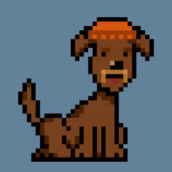 PunkDog #111