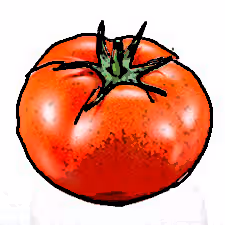 Item #34666895870601966959428909364201480816502352968282215999761892545330835095553 Media