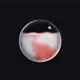 40804310071733365275887890528613580253170009105884358269229708401262058274817
