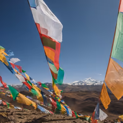 Treasure of Tibet#9