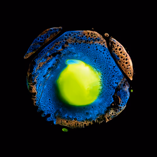 Haematopoiesis