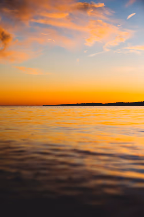 Item #111174009616639200000012101968861275422099781399944675221188828364695024959489 Media