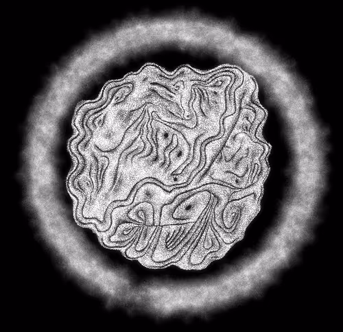 Item #48216677678887992956199146050101977369740452437452834237877791431102795087873 Media