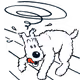 108319324997221079839938881819177800506597932702664590622316018723326512857089