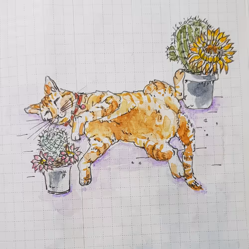 Untitled Collection #257279207