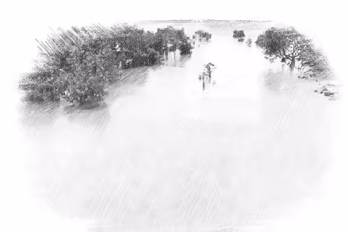 Item #86655930949117801335936455021290836594310532474015013057390977364386325200897 Media