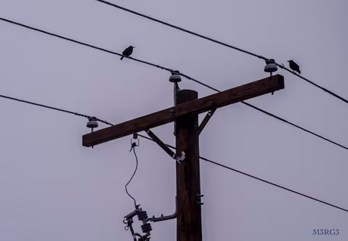 Item #53066580447893182690859255571300366451776015640198026771655436628116673396737 Media