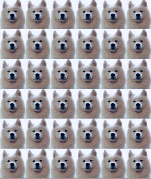 Item #919881104117818023937162122873745772427003128789095818032177415503793356801 Media