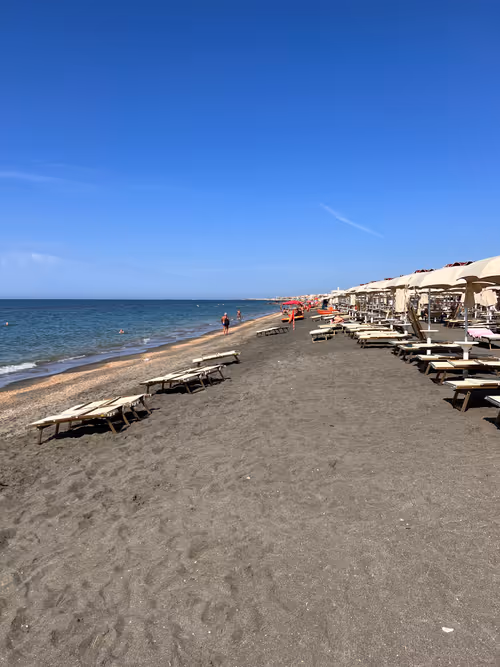 Item #106962716921335990762713992472161684452961633480742312471954214604118138290177 Media