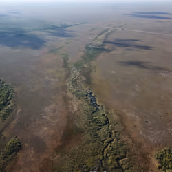 Florida Everglades Form a High Altitude