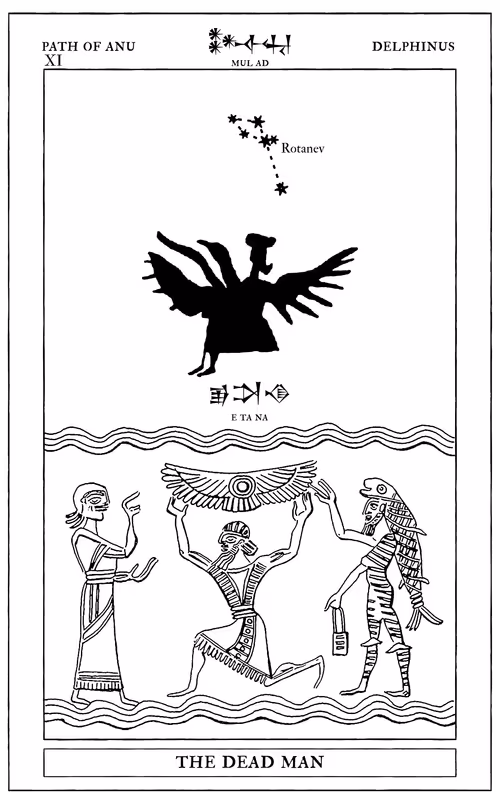 Item #72428202001668189821112342847260883540127111684781981942259052864045410418689 Media