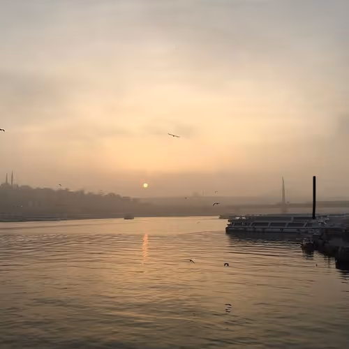 f_shithappens Collection