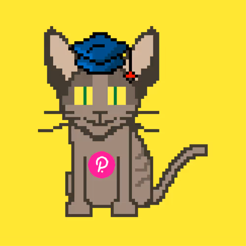 Cryptorobocat Wtm9GNHTED
