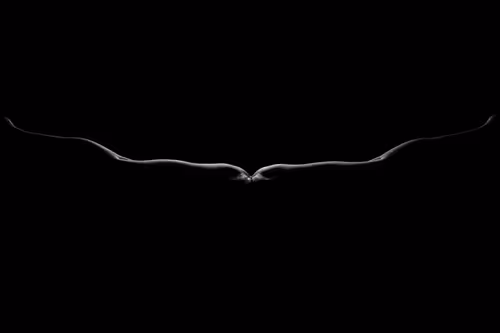 Item #6019087958379867784353265046247519431511831343750573134531612417765232607233 Media