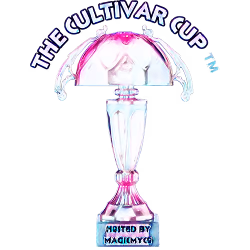 GalaxyMyco Cup