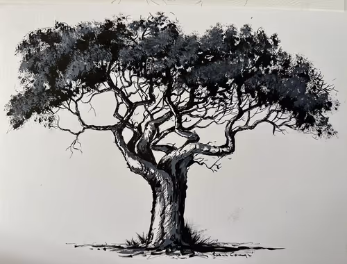 Item #4288309145407295523431116215122397111529594114986911850026632800251318108260 Media