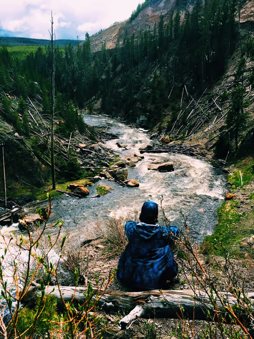 Item #38636187015463482433691281492566122321376547079854942751404297978404128423937 Media