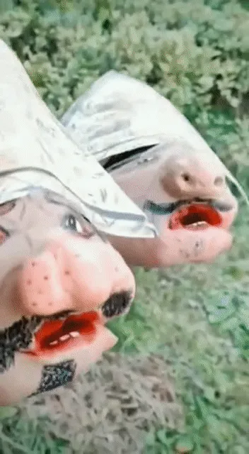 Item #74836524318974801290625532305879181215425238268027034488690925528221791289345 Media