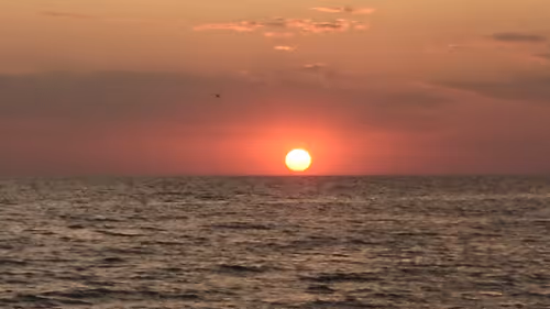 Item #81992218389182375082061007877249714838404389914539111241727743950978962948097 Media