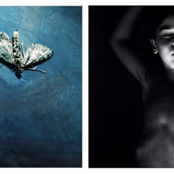 109162157552346088047496633038404394118504199992061596446112929569945803554817