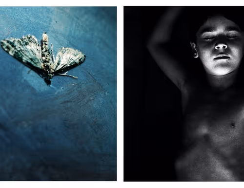 #245 Edition365 2021; Aletheia Casey 02