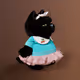 Black_cat_Charlie