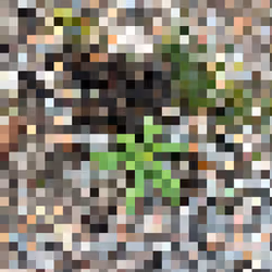 2850415134272365380187775685678842410458265265709128331682257683297142308865